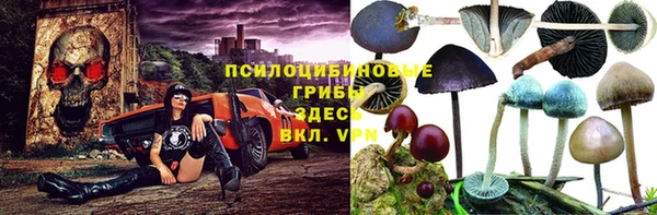 COCAINE Каменногорск