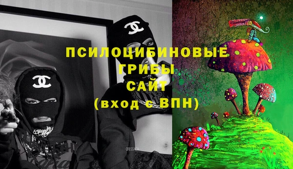 мдма Каменка