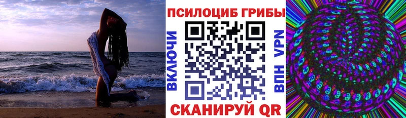 blacksprut как войти  Лодейное Поле  Псилоцибиновые грибы Magic Shrooms 